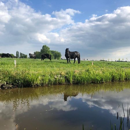 Vakantiehuis In Friesland Voor De Hele Familie Huns Extérieur photo