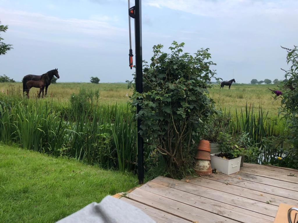 Vakantiehuis In Friesland Voor De Hele Familie Huns Extérieur photo