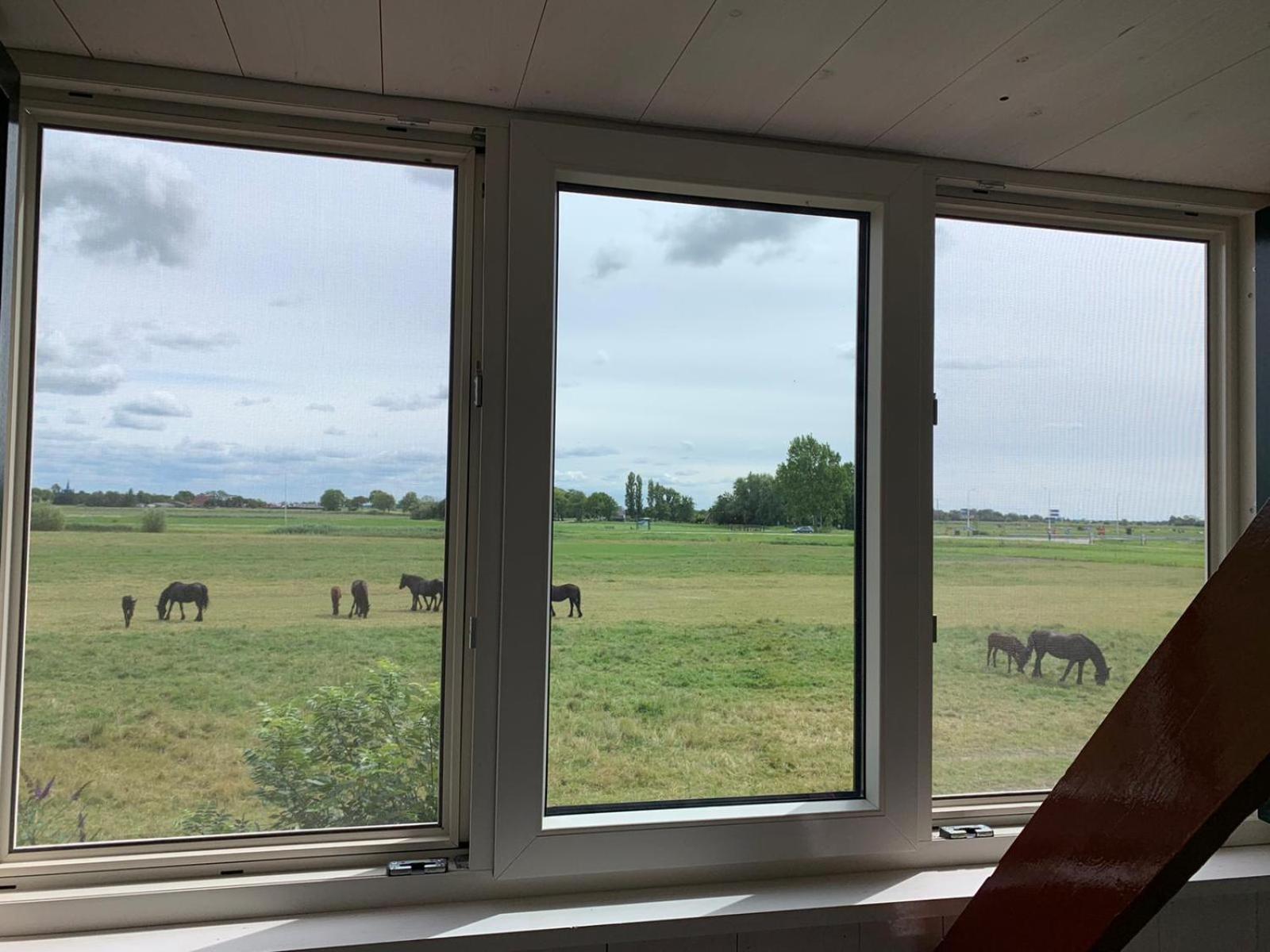 Vakantiehuis In Friesland Voor De Hele Familie Huns Extérieur photo