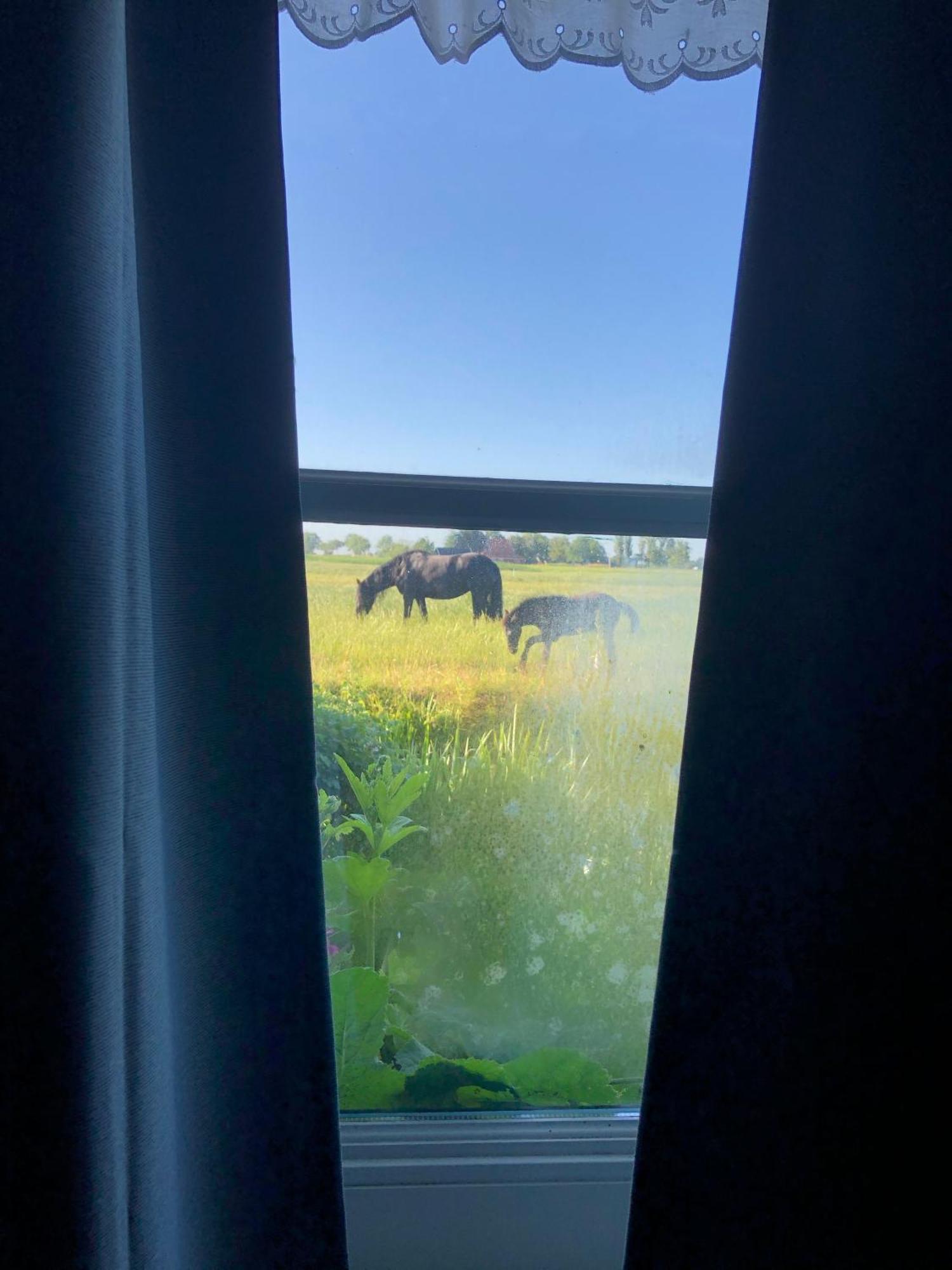 Vakantiehuis In Friesland Voor De Hele Familie Huns Extérieur photo